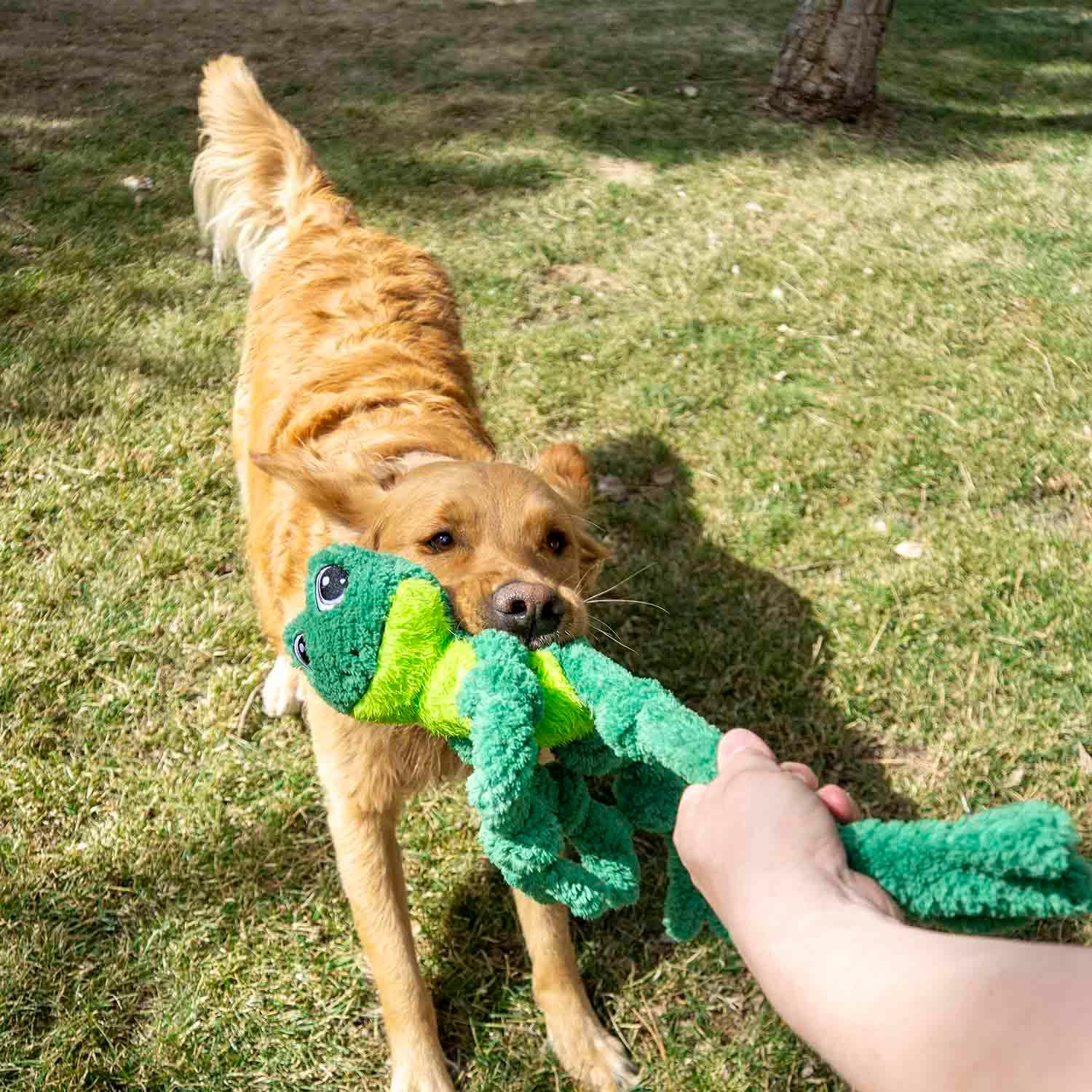 KONG Knots Frog Dog Toy with Inner Rope Skeleton Large / Extra Large Dogs - Image 3