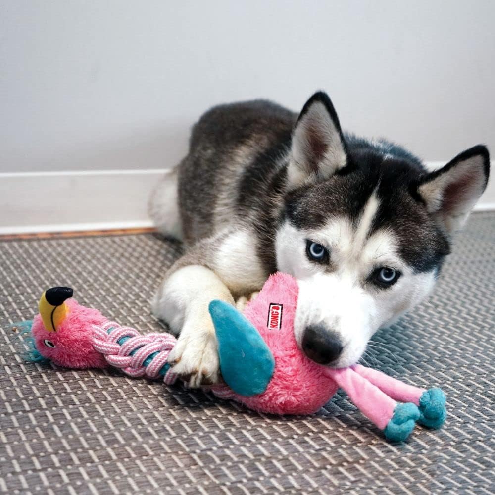 KONG Knots Twists Plush Dog Toy – Small/Medium Tug & Toss Toy - Image 2