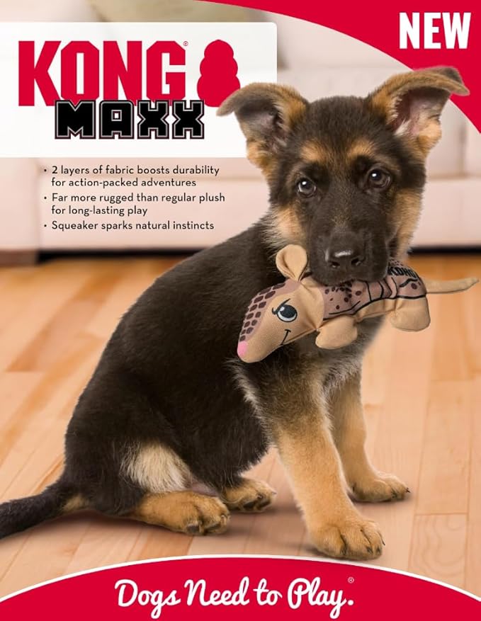 KONG Maxx Ballistic 2 Layered Assorted Tough Dog Toy - Image 2