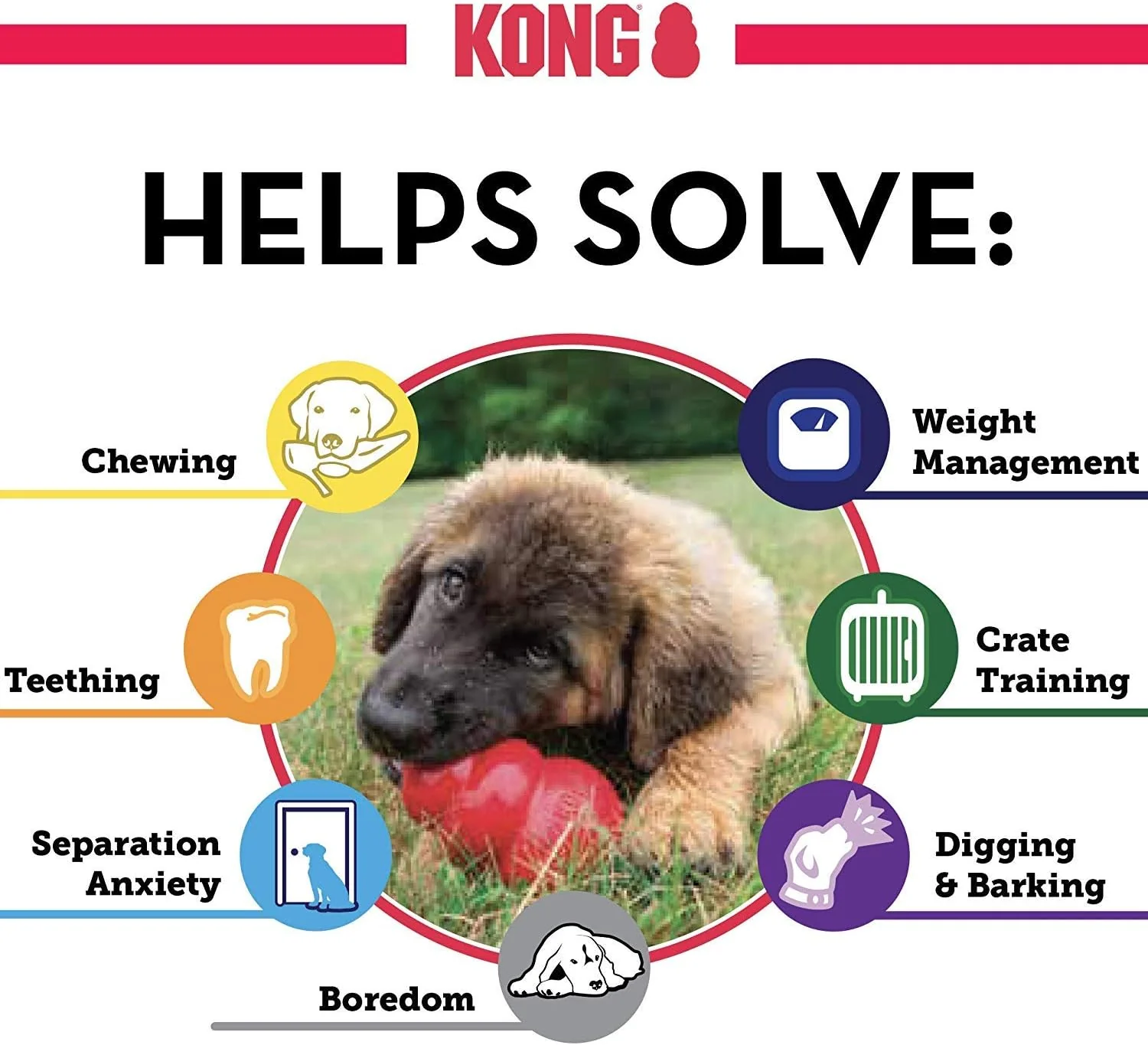 KONG Puppy Toy – Small Assorted color - Image 5