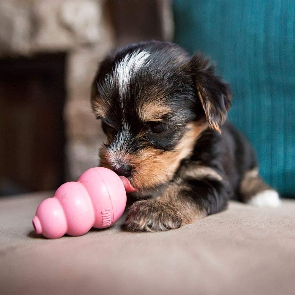 KONG Puppy Toy – X-Small Assorted color - Image 3