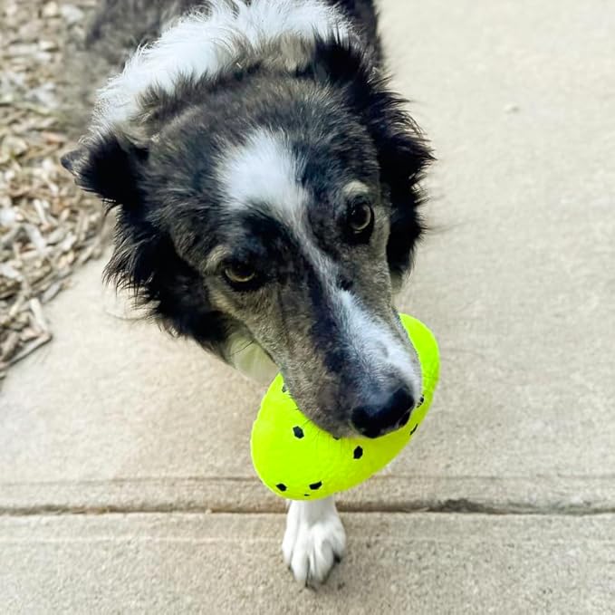 KONG Reflex Football Durable Flexible Bounce Material Dog Toy - Image 4