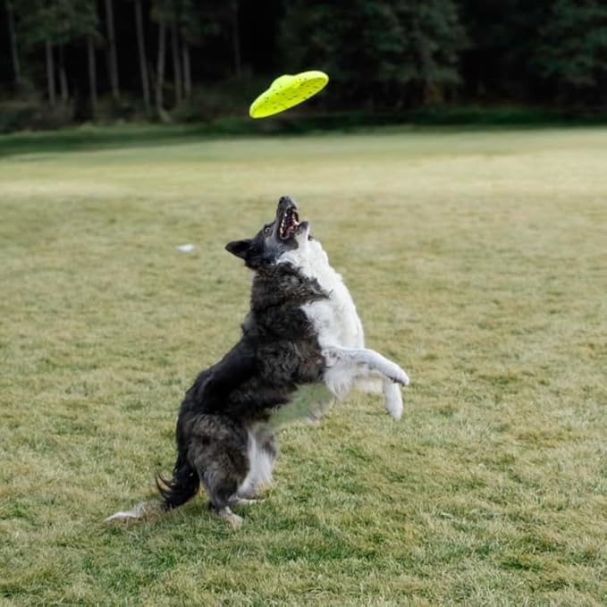 KONG Reflex Glide Flyer - Lightweight, Flexible Flying Disc Frisbee - Floats - Image 5