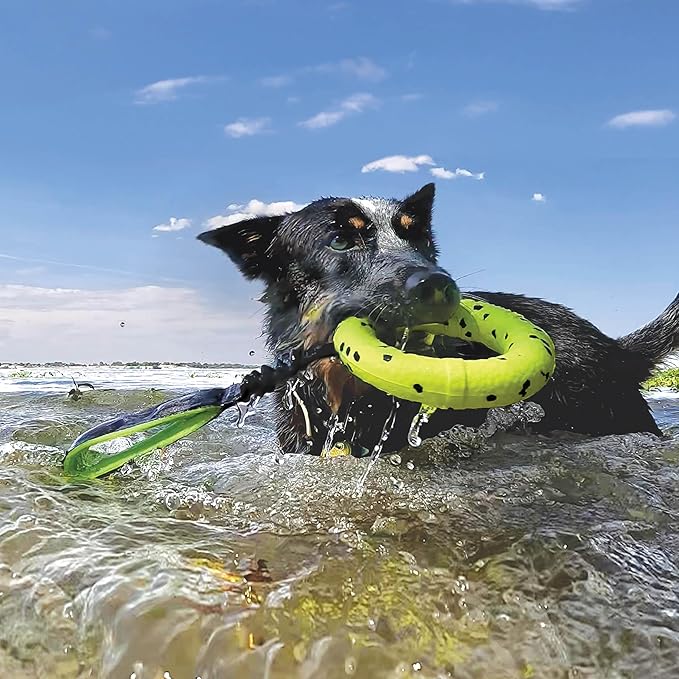 KONG Reflex Tug - Image 4