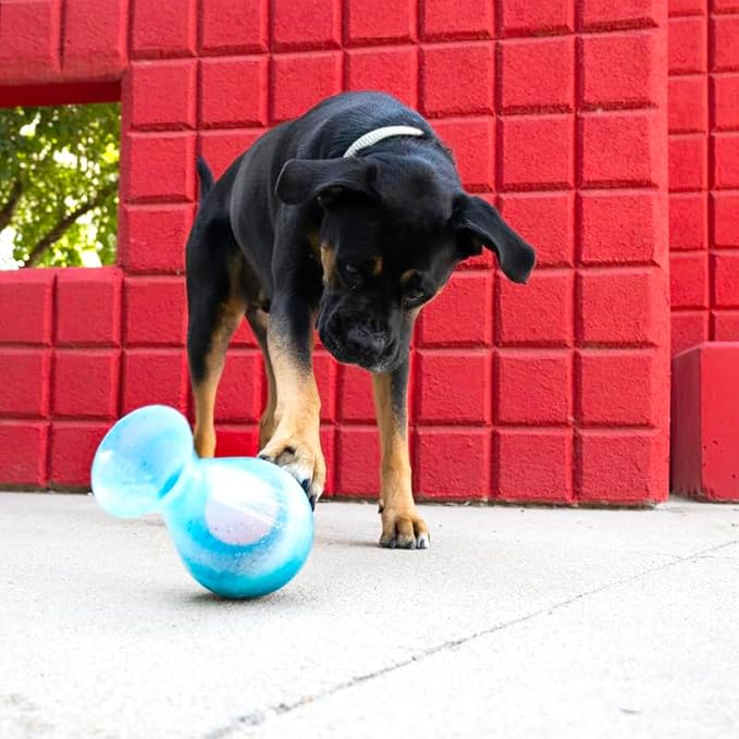 KONG Rewards Tipsy Food or Treat Dispensing Dog Toy - Interactive and Mentally Stimulating Toy for Dogs - Image 5