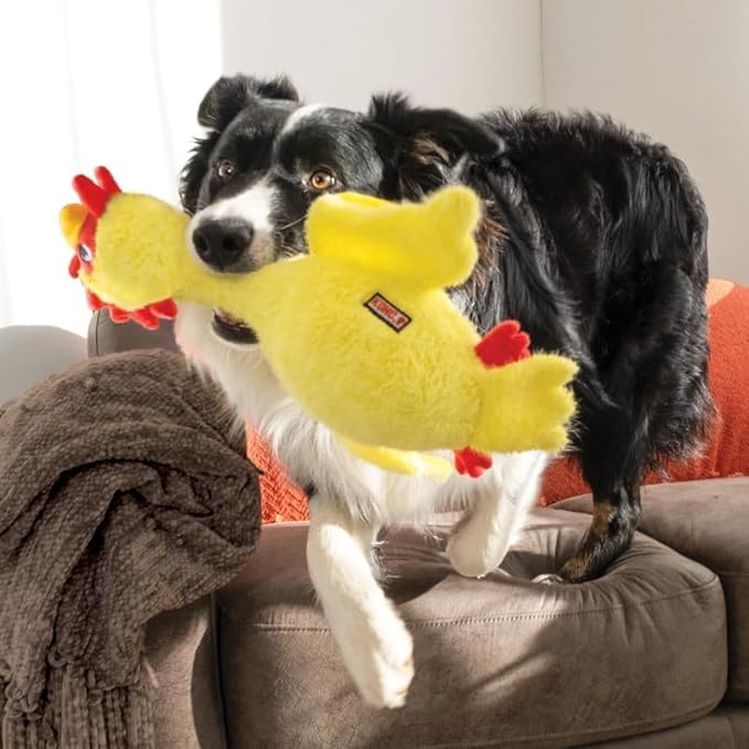 KONG Scruffs Plush Assorted Dog Toy (Chicken) - Image 5