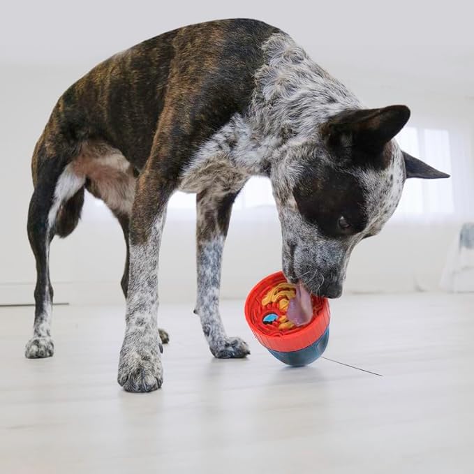 KONG Scuttle Pod - Interactive Puzzle Slow Feeder/Treat Dispenser - 8 Options - Image 2