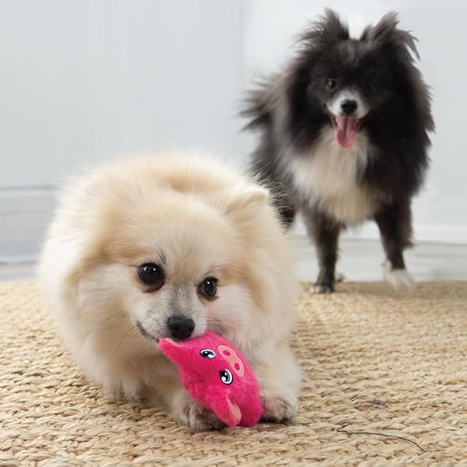 KONG Snuzzles Kiddos Mini Squeaker Dog Toy (Pig) - Image 6
