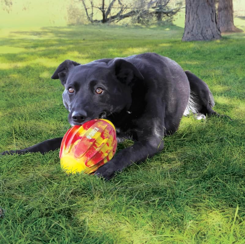 KONG Sport FlexBall – Medium (Football) - Image 2