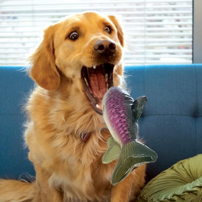KONG Wild Shield Fish Shaped Dog Toy - Image 2