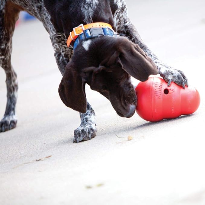KONG Wobbler - Interactive Dog Toy for Treat Dispensing - Dog Slow Feeder for Healthy Eating - Image 4