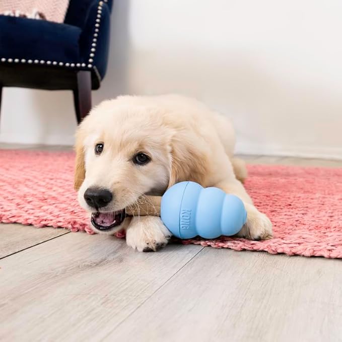 KONG Ziggies Enhanced Chews Puppy Small For Dogs Supports Oral Health & Teething - Image 3