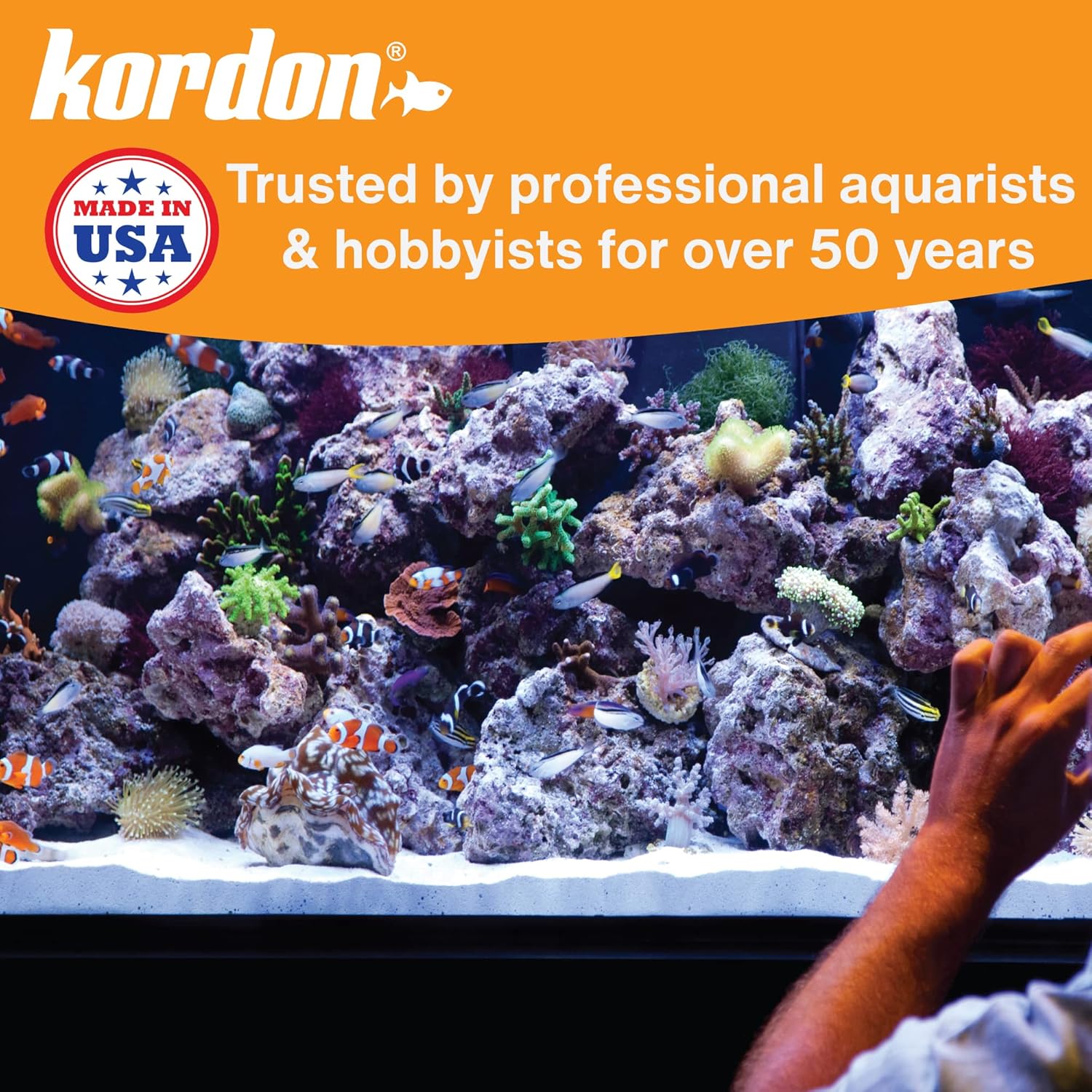 KORDON #31275 AmQuel Ammonia Control & Detoxifies Chloramine for Aquarium, 5-Gallon - Image 7