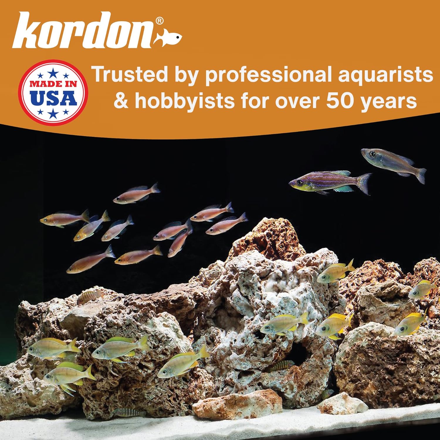 KORDON #33411 AmQuel Plus for Aquarium, 1-Ounce - Image 6