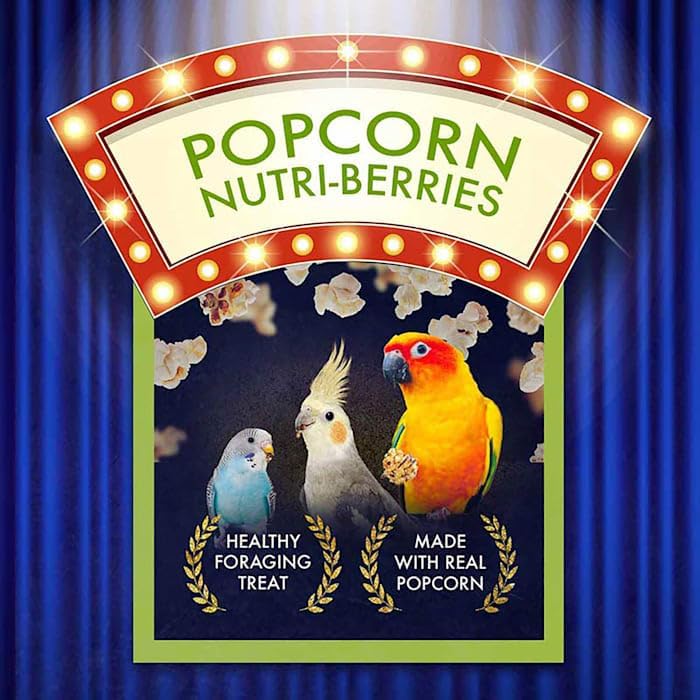 Lafeber's Popcorn Nutri-Berries 4 oz bag - Image 2