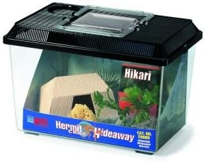 Lee's Hermit Crab Hideaway Kit, Medium, Colors May Vary - Image 2