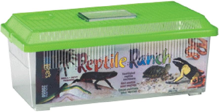 Lee's Reptile Ranch, Large, Rectangle with Lid, Colors may Vary - Image 2