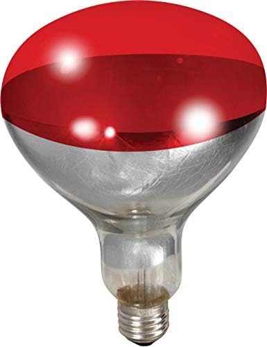 Little Giant® Heat Lamp Bulb – 250W Bulb for Brooding Poultry - Image 2