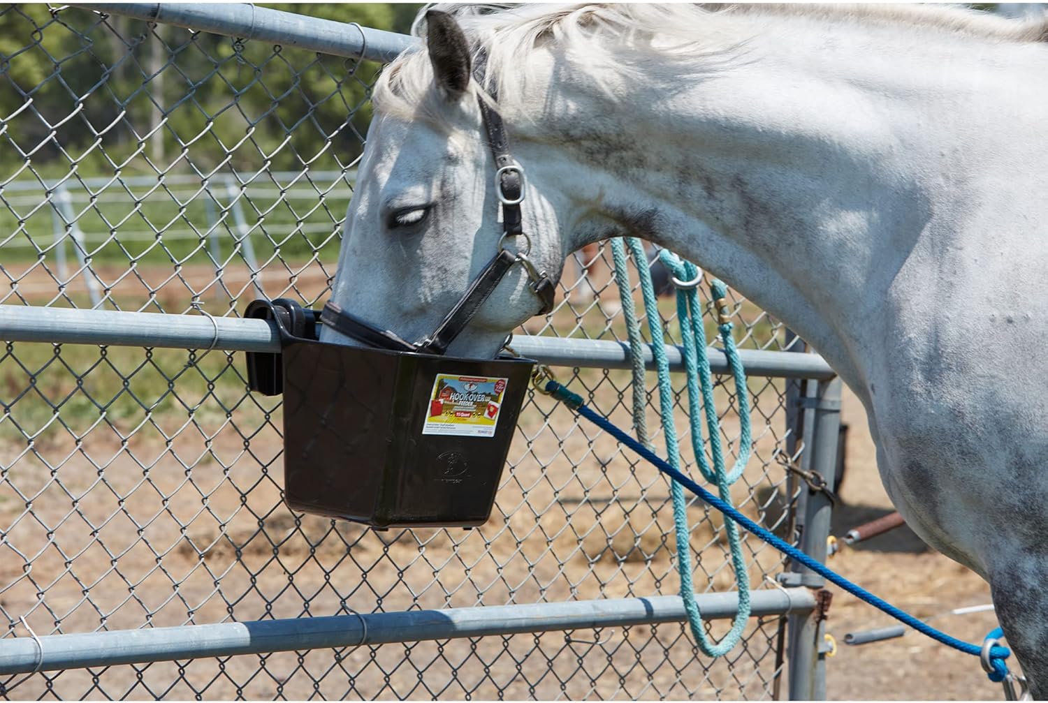 Little Giant® Plastic Hook Over Feeder – 15 Quart Durable Feed Bucket - Image 4