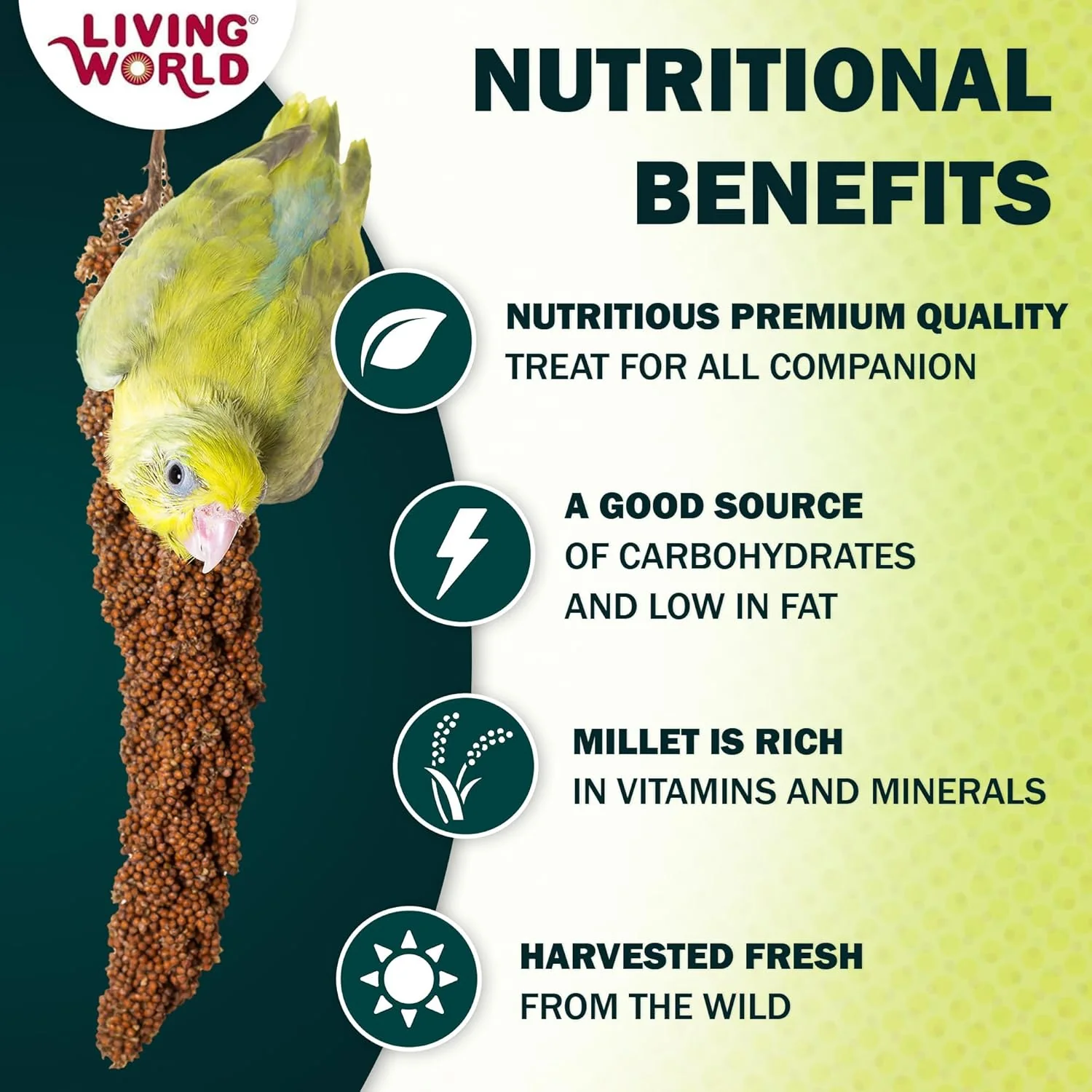 Living World – Millet Spray for Birds, 5 Pounds – Premium Treat for Budgies, Canaries, Finches, Cockatiels and Other Pet Birds - Image 2