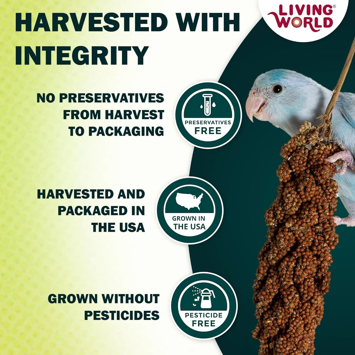 Living World – Millet Spray for Birds, 5 Pounds – Premium Treat for Budgies, Canaries, Finches, Cockatiels and Other Pet Birds - Image 3