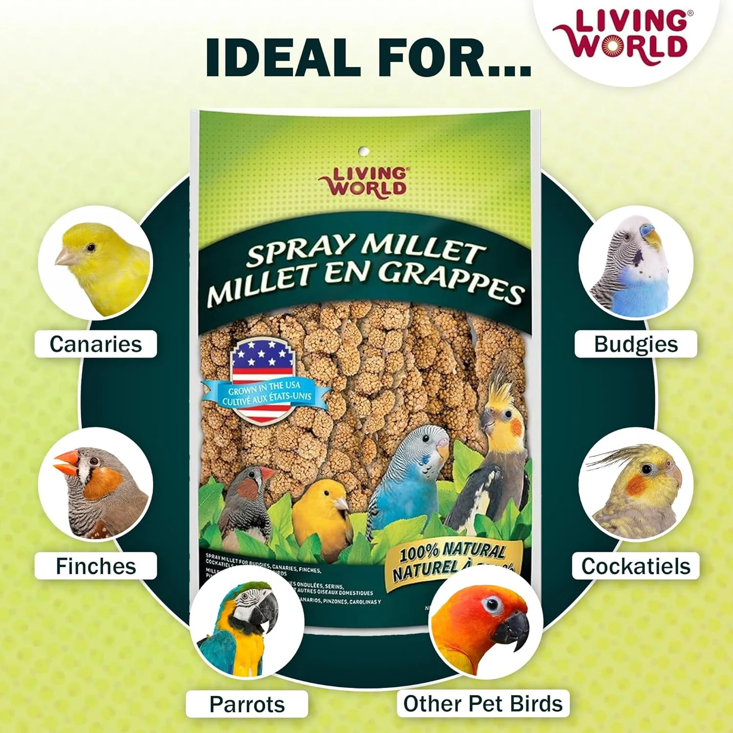 Living World – Millet Spray for Birds, 5 Pounds – Premium Treat for Budgies, Canaries, Finches, Cockatiels and Other Pet Birds - Image 4