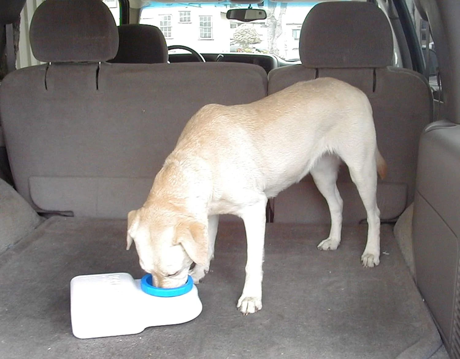 Lixit Dog Travel Water Bowl 3 Quarts - Image 6