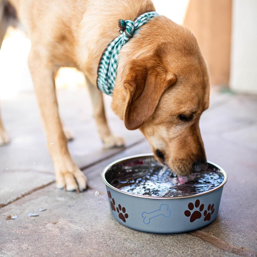 Loving Pets - Bella Bowls - Dog Food Water Bowl No Tip Stainless Steel Pet Bowl No Skid Spill Proof - Image 6