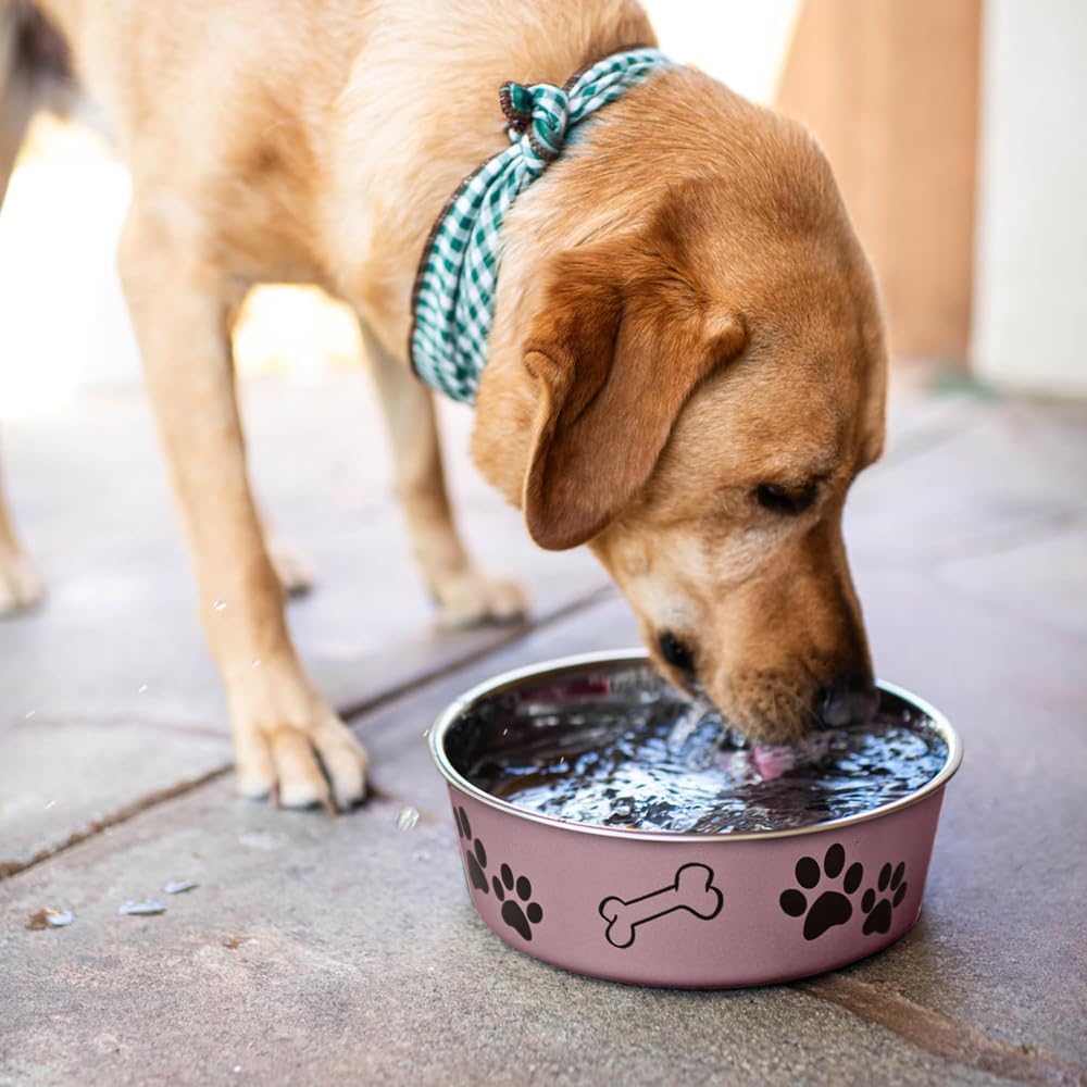 Loving Pets Bella Dog Bowls- Stainless Steel Dog & Cat Bowls - Spill Proof Dog Food Bowl, Cat Bowl, Puppy Essentials & Pet Supplies Great for Home & Travel - Image 6