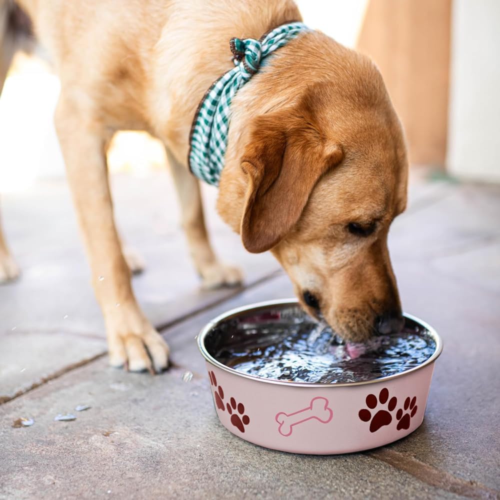 Loving Pets Bella Dog Bowls- Stainless Steel Dog & Cat Bowls - Spill Proof Dog Food Bowl, Cat Bowl, Puppy Essentials & Pet Supplies Great for Home & Travel - Image 5