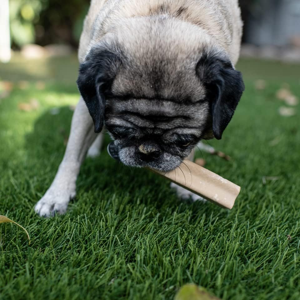 Loving Pets Yummy Bones Chicken Flavor Filled Bone, Dog Treat, Box of 15 Single Wrapped Bones - Image 3