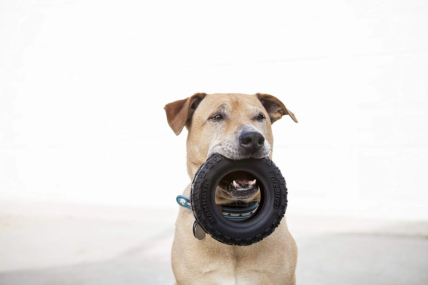 Mammoth TireBiterII – Natural Rubber Dog Toys for Extreme Chewers – Dog Toys for Extra Long Interactive Play – Aggressive Chewer Toys for Large - X-Large Dogs - X-Large 7” - Image 3