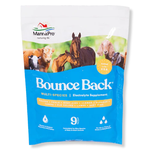 Manna Pro BOUNCE BACK Electrolytes – 4 oz