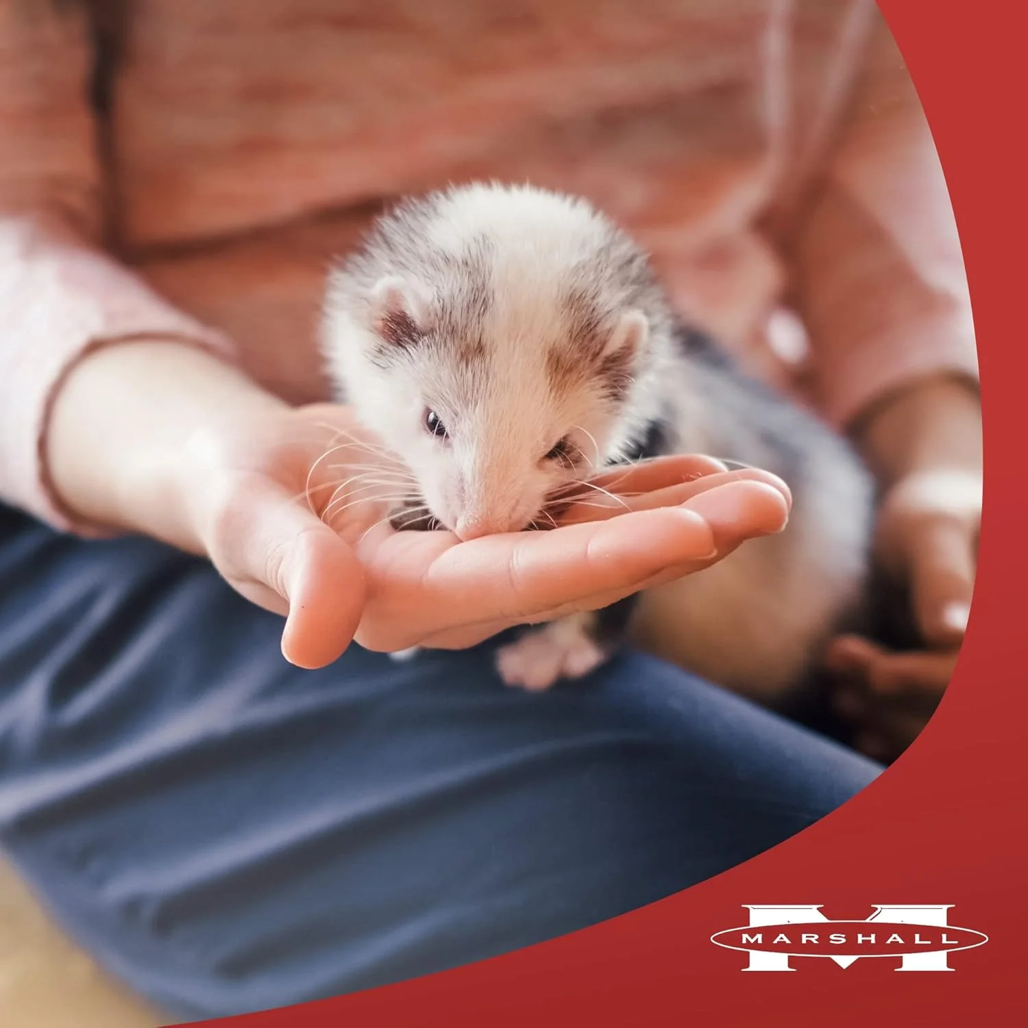 Marshall Pet Products Furo-Vite Highly Nutritious Vitamin Supplement for Ferrets 1ea/3.5 oz - Image 5