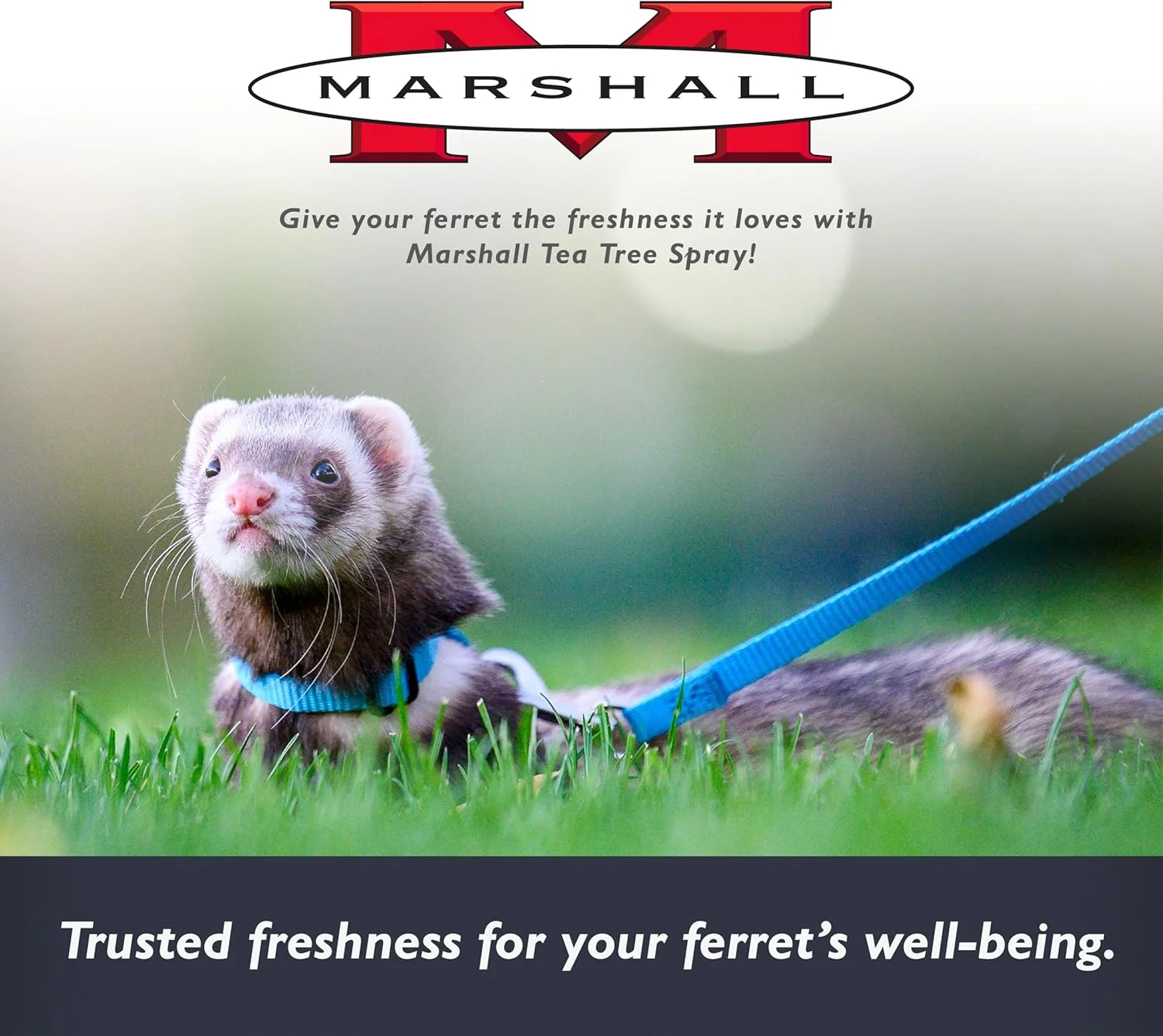 Marshall Pet Products Tea Tree Ferret Tick Spray 1ea/8 fl oz - Image 7