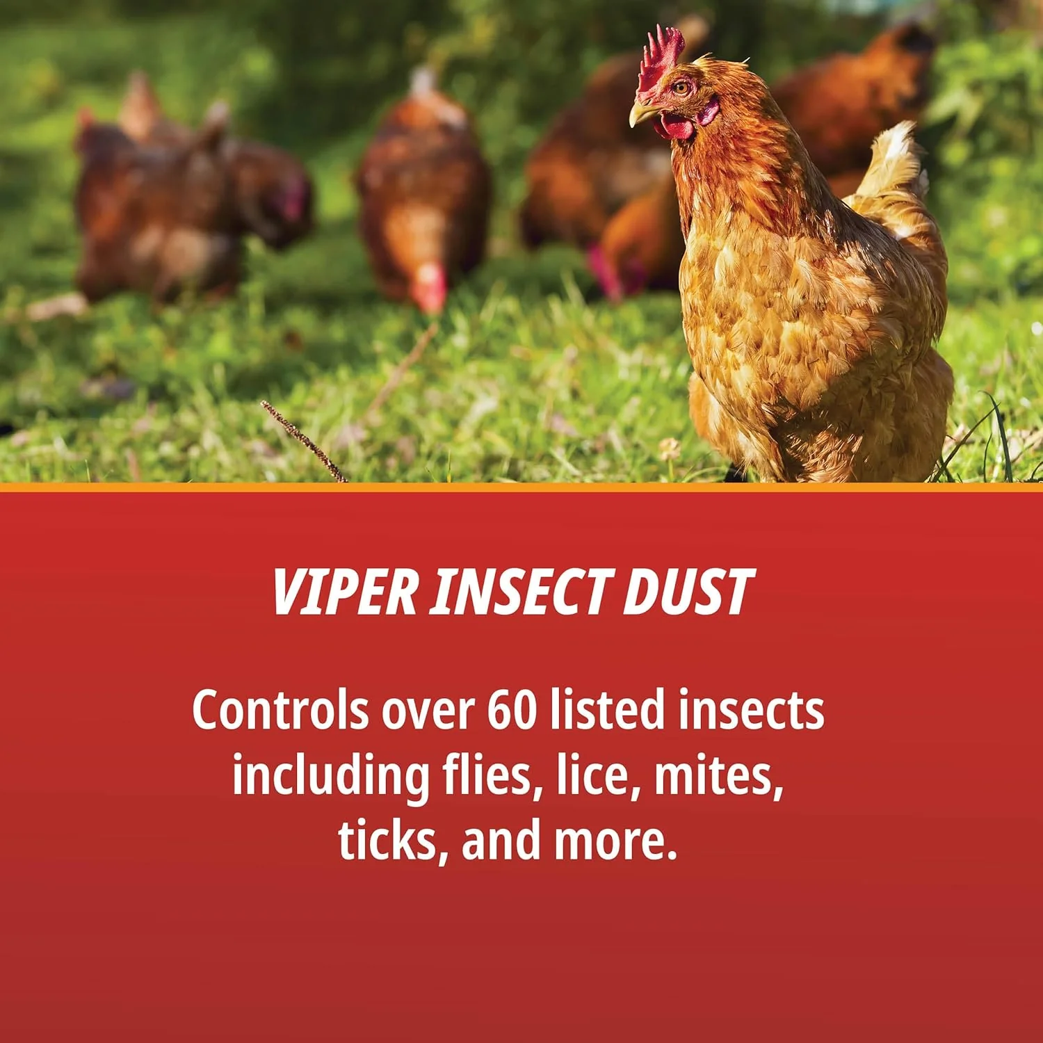Martin’s® Viper Insect Dust 4 lb - Image 2