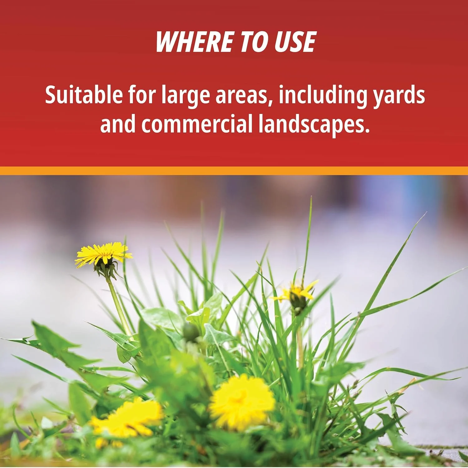 Martin's® Eraser 41% – Concentrated Weed Killer - Image 5