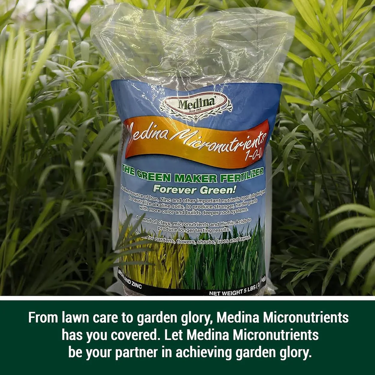 Medina® Micronutrients - Image 2