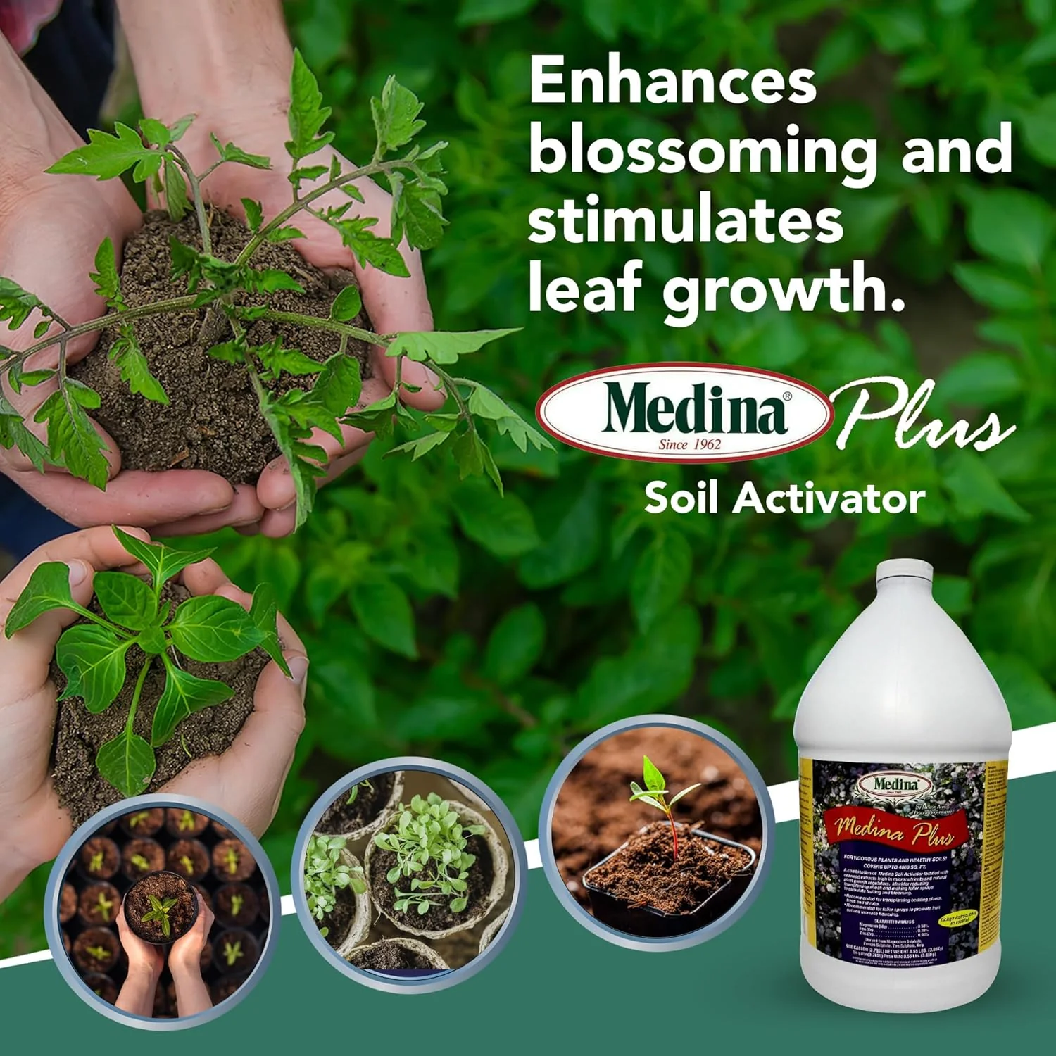 Medina® Plus – Enhanced Soil Activator & Foliar Feed - Image 7