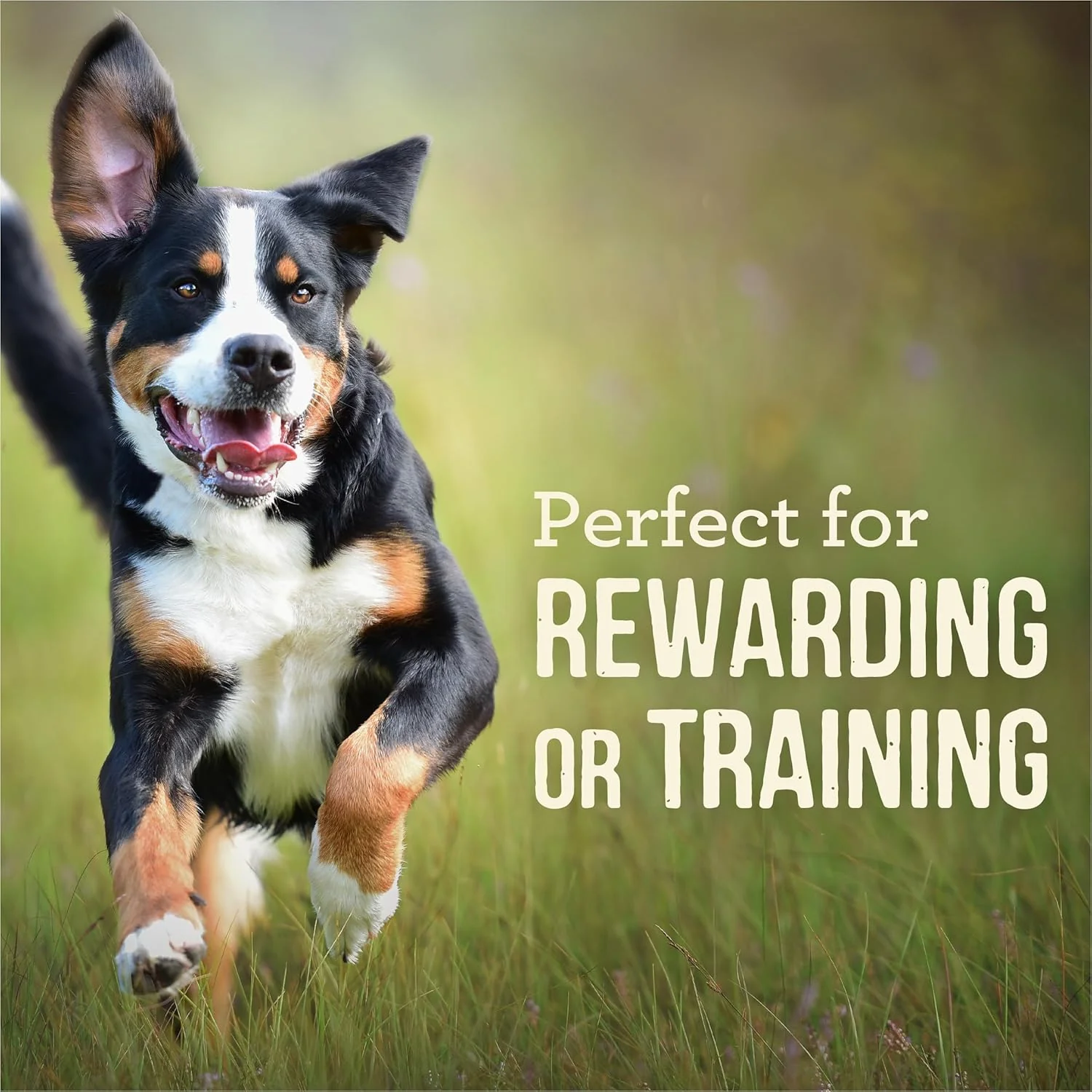 Merrick Power Bites Natural Soft And Chewy Real Meat Dog Treats, Grain Free Snack, Real Turducken Recipe - Image 4