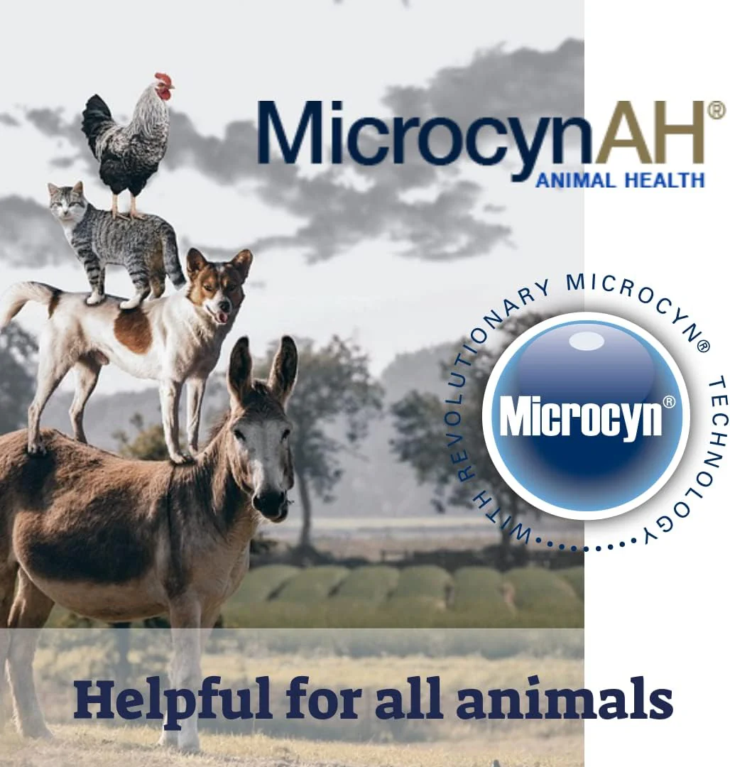 MicrocynAH Manna Pro Ear & Eye Wash - Image 5
