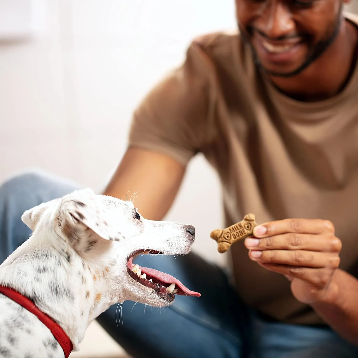 Milk-Bone, Flavor Snacks - Image 5
