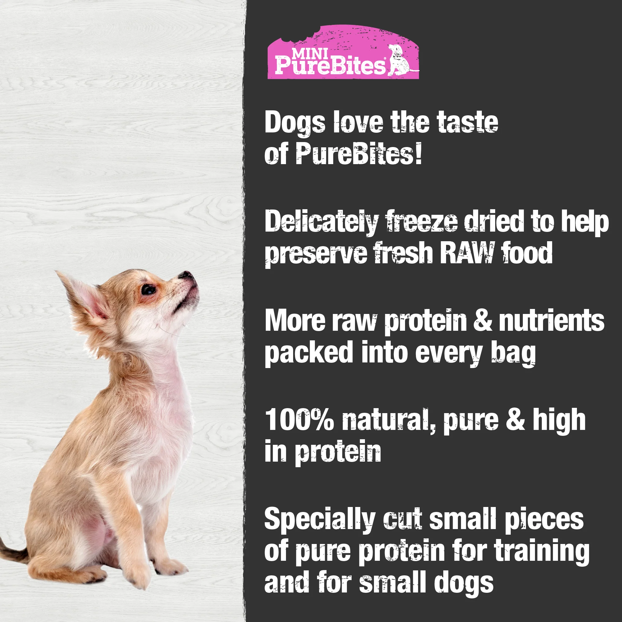 PureBites Mini Salmon Freeze Dried Dog Treats, 1 Ingredient, Made in USA - Image 4