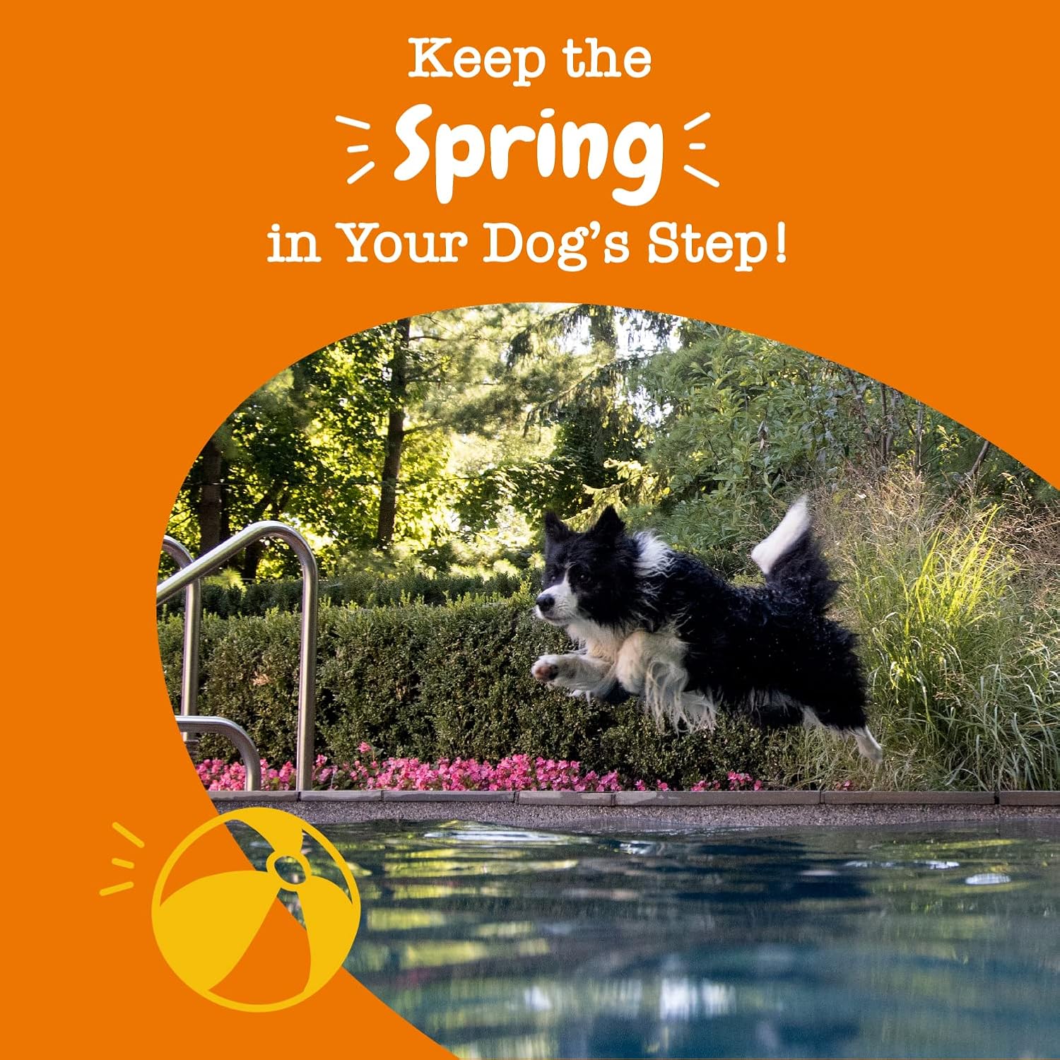 Mobility Bites for Dogs, Hip and Joint, All Ages, Duck, 90 Soft Chews, 12.7 oz (360 g) - Image 7