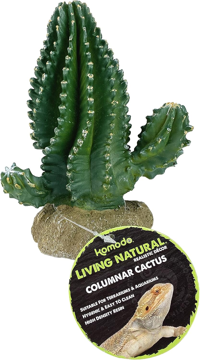 Multi Pet 48593320: Komodo Cactus Plant Columnar, 5.9In - Image 5