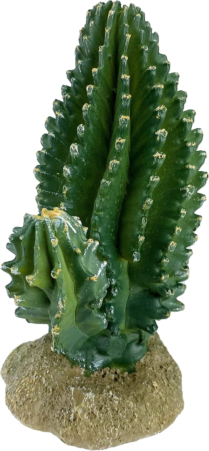 Multi Pet 48593320: Komodo Cactus Plant Columnar, 5.9In - Image 6