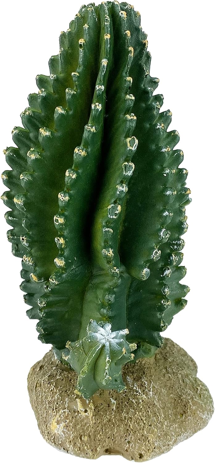 Multi Pet 48593320: Komodo Cactus Plant Columnar, 5.9In - Image 7