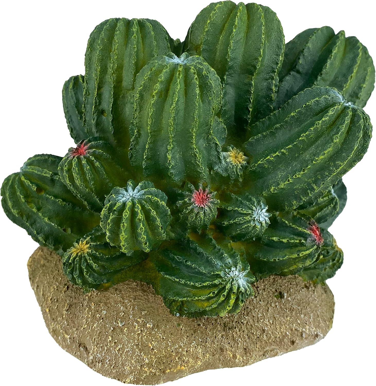 Multi Pet 48593321: Komodo Cactus Plant Barrel, 4In - Image 3