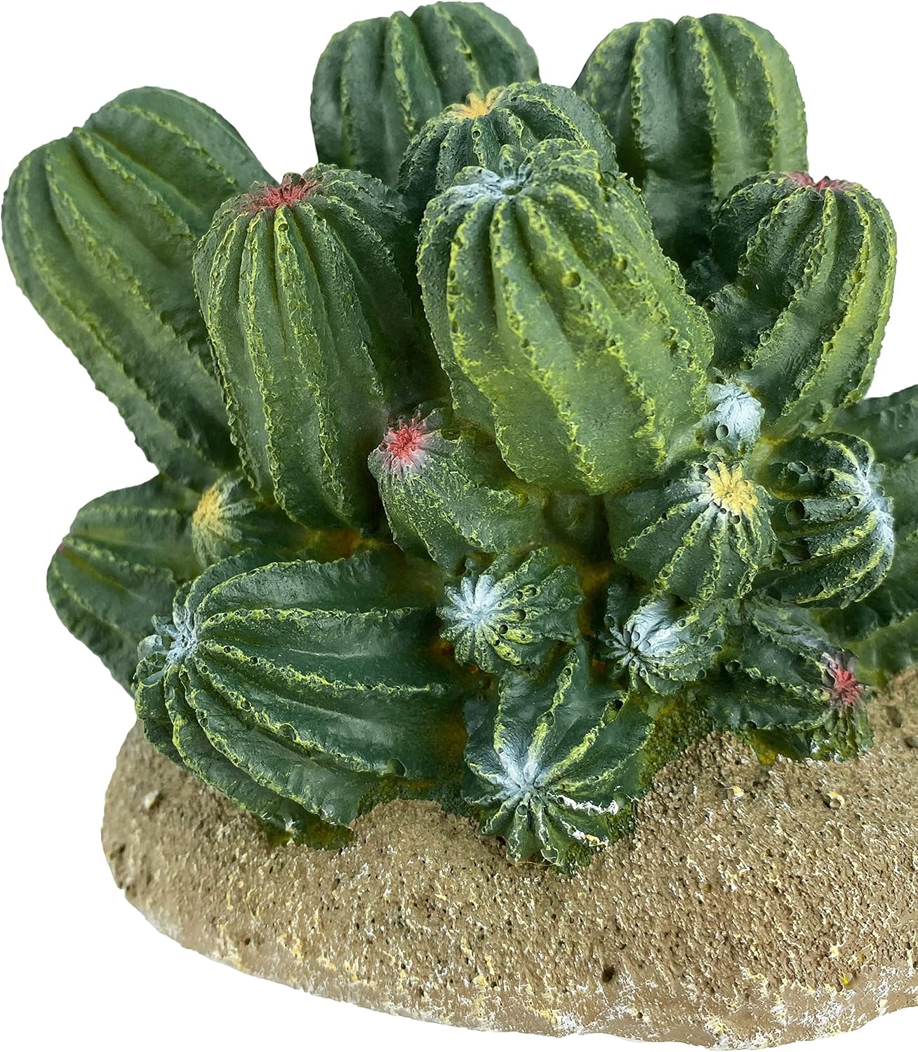 Multi Pet 48593321: Komodo Cactus Plant Barrel, 4In - Image 6
