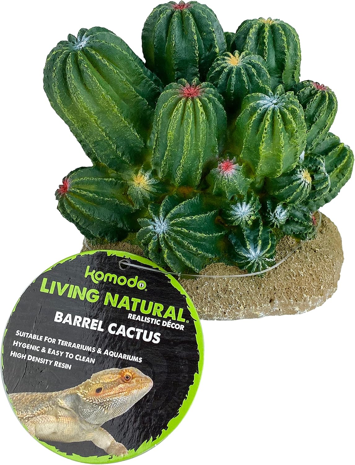Multi Pet 48593321: Komodo Cactus Plant Barrel, 4In - Image 7